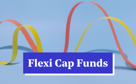 Flexi Cap Fund Review for Investors Seeking a Well-Diversified Equity Fund Option