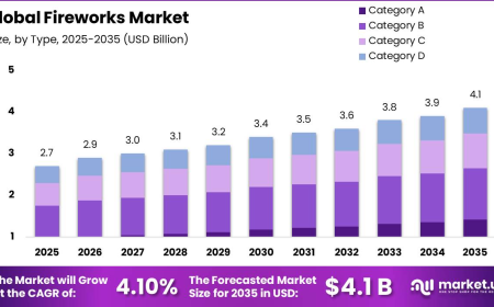 Fireworks Market: Key Trends to Watch in the Future