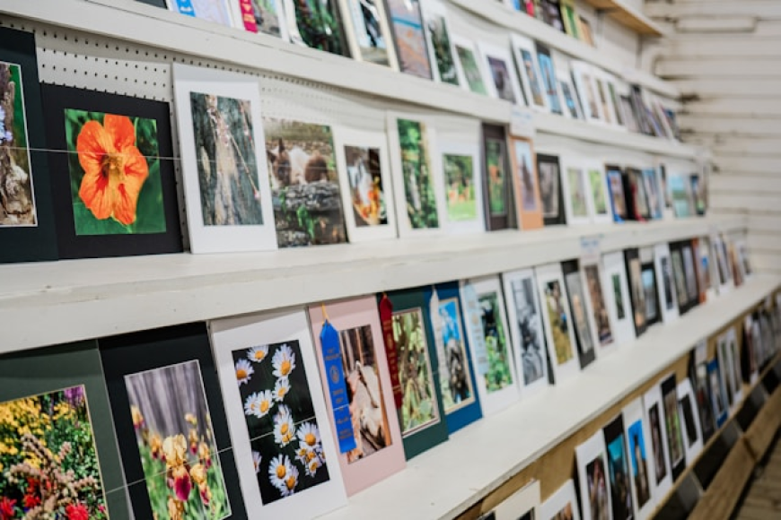 Photo Printing and Merchandise Market Analysis by Product Type, Technology, and Region