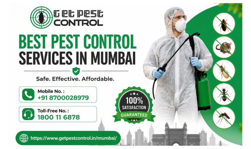 Pest Control Services in Mumbai | Free Inspection & Quotes