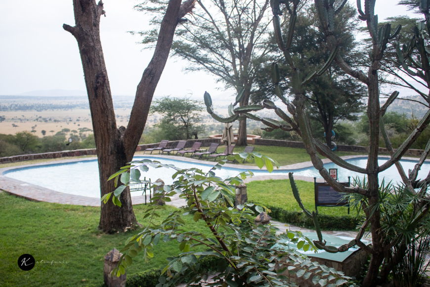 Living with the Maasai: Cultural Experiences Beyond the Safari