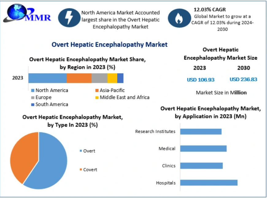 Overt Hepatic Encephalopathy Market Growth Trends, Competitive Landscape, and Future Opportunities