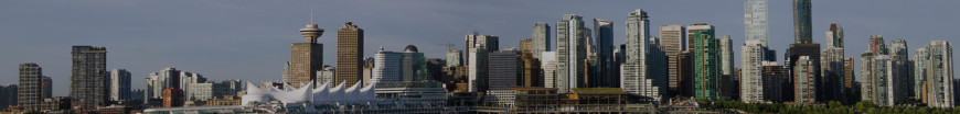 Professional Pest Control in Vancouver for Safe & Effective Pest Removal Solutions