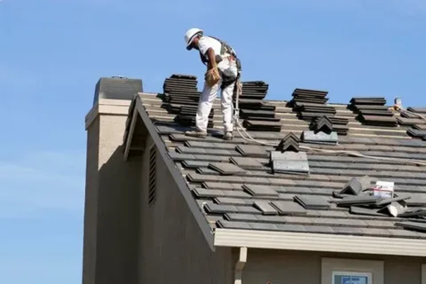 Learning the Basics of Professional Roofing Services