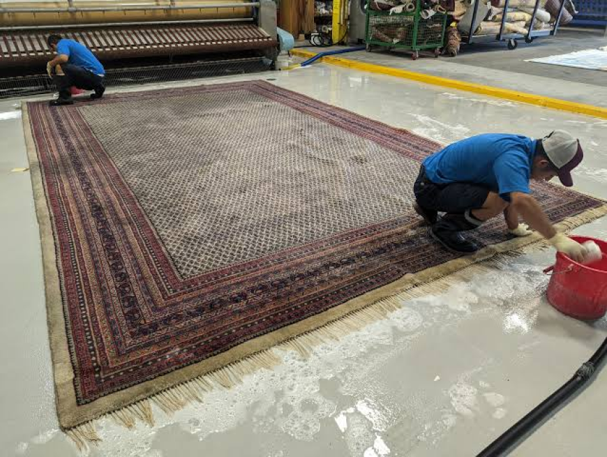 What Does Professional Carpet Cleaning Cost in San Marcos Today?