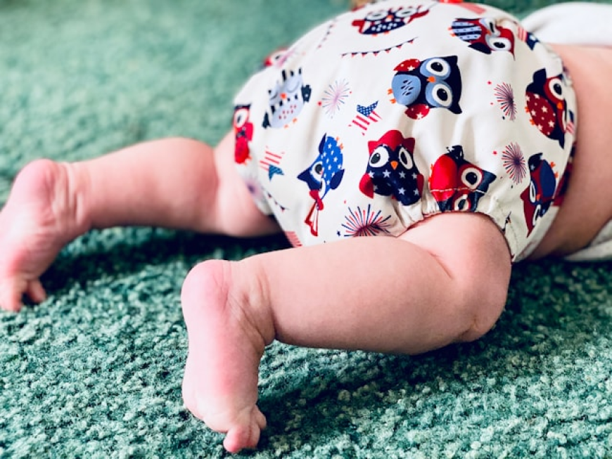 Cloth Diaper Market Trends: How Reusable Baby Products Are Reshaping Infant Care