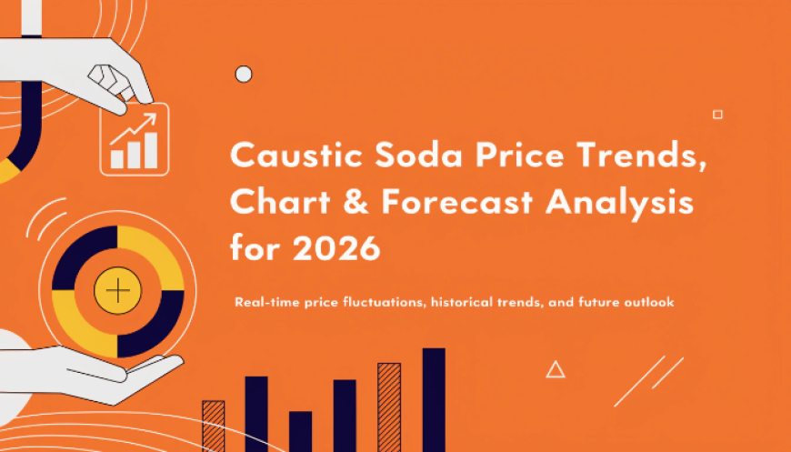 Caustic Soda Prices 2026: Latest Trends, Index & Chart Data