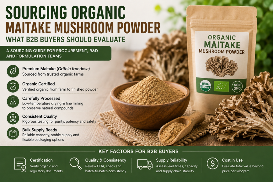 Sourcing Organic Maitake Mushroom Powder: What B2B Buyers Should Evaluate