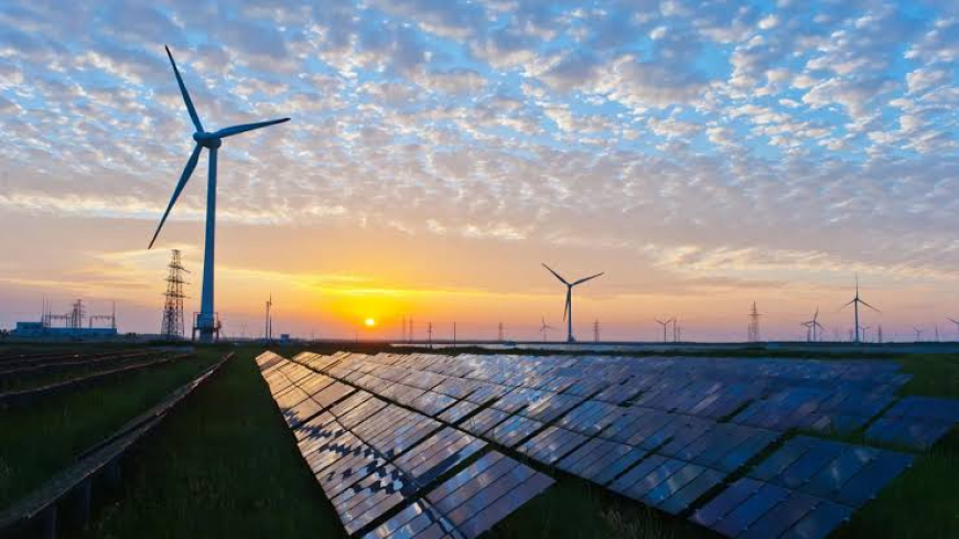 RCO Compliance and Obligations: A Complete Guide for Businesses in 2025