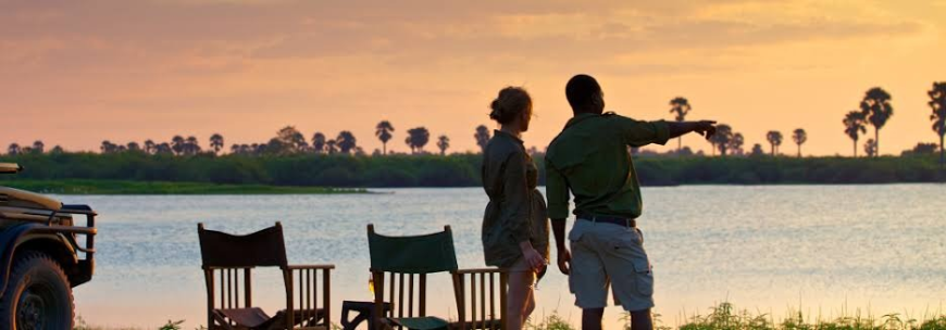 Top 14-Day Tanzania Safari: Best Coast to Savannah Southern Tanzania Adventure