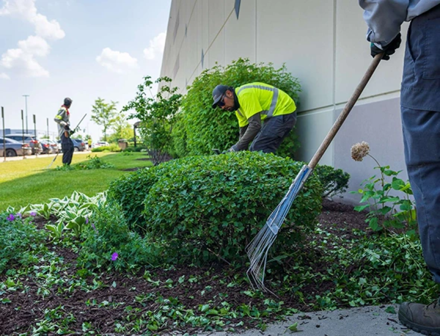 What Landscape Maintenance in Oneonta, NY Really Takes