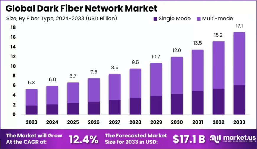 Dark Fiber Network Market: Competitive Landscape and Industry Strategies