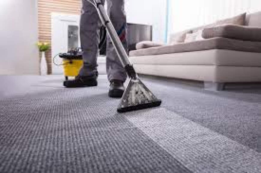 Carpet Cleaning Services Supporting Comfortable Living Spaces