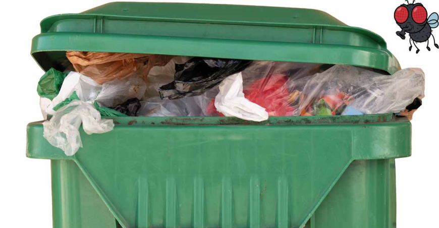Affordable Bin Cleaning Solutions from a Leading USA Service