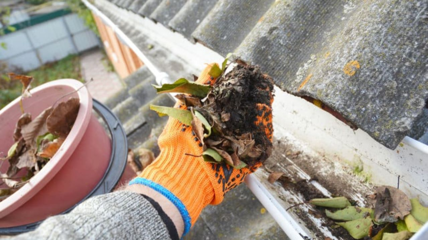 How Professional Gutter Cleaning Protects Rochester Homes from Water Damage