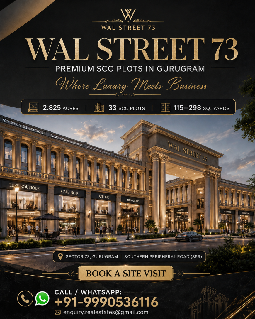 WAL Street 73 Project Location and Commercial Development Factors
