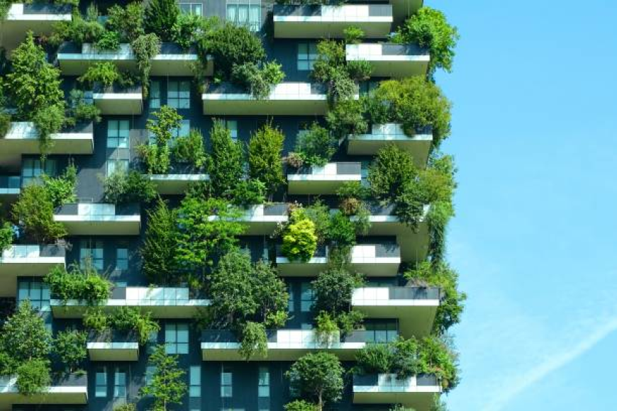 Why Green Building Materials Are Shaping Sustainable Construction