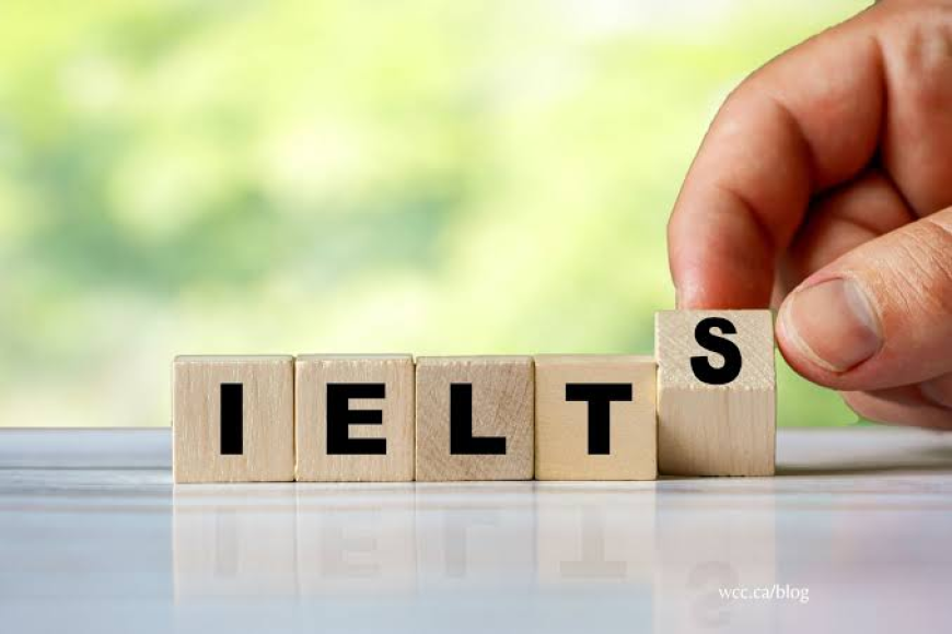 The 4 Most Dangerous Grammar Errors in IELTS Essay Writing