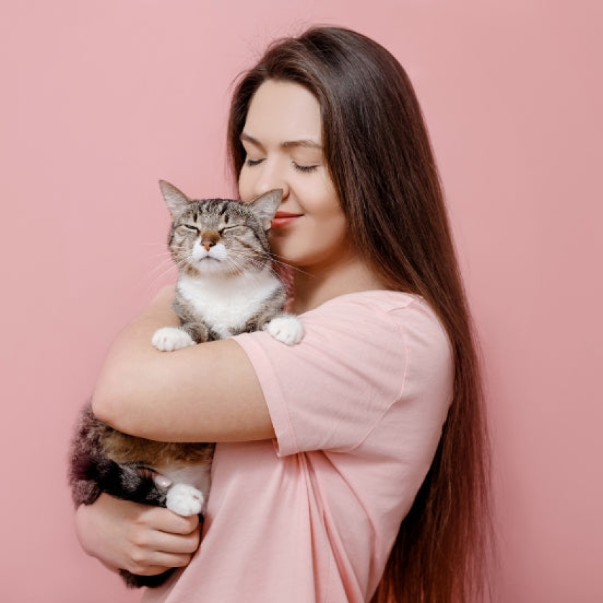 Affordable Options to Shop Cat Supplies for Indoor Cats