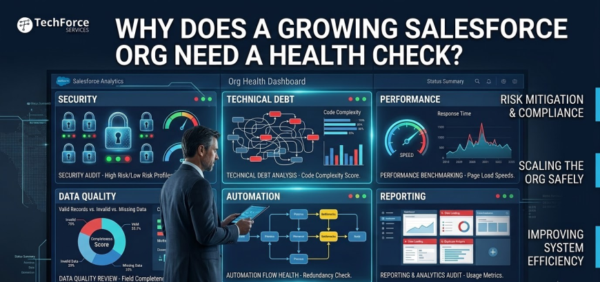 Why Does a Growing Salesforce Org Need a Health Check?