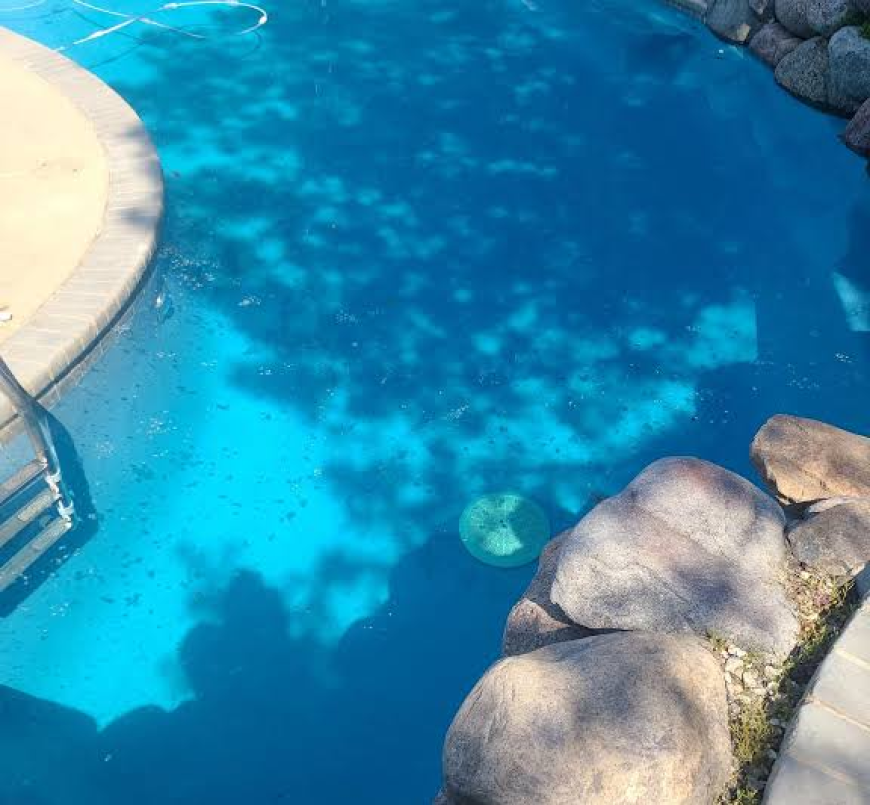 How To Vet A "Pool Service Near Me" Result Before You Sign A Contract