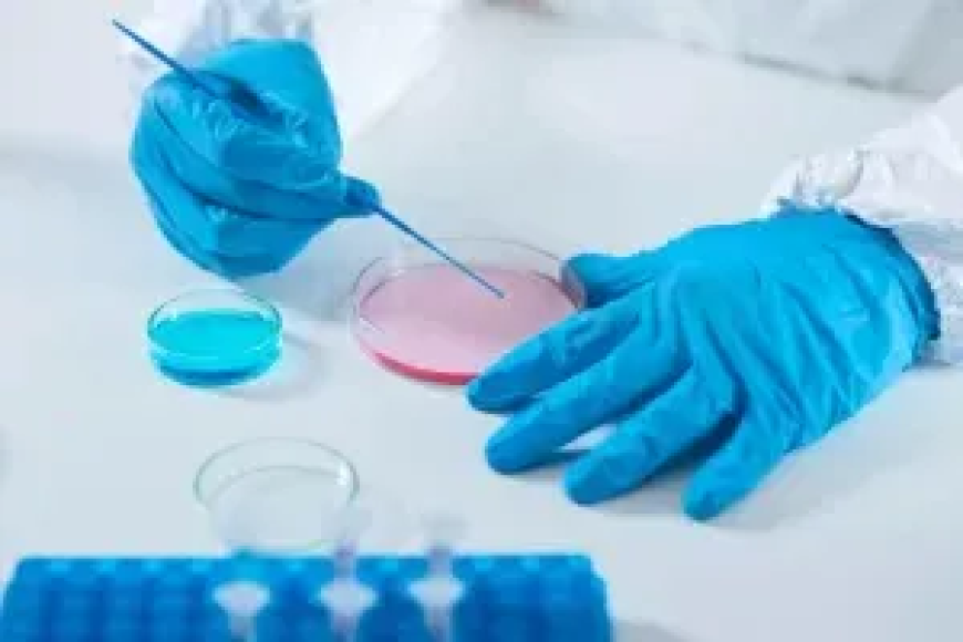 Egg Freezing in New Jersey: Understand the Process, Costs, and Your Options