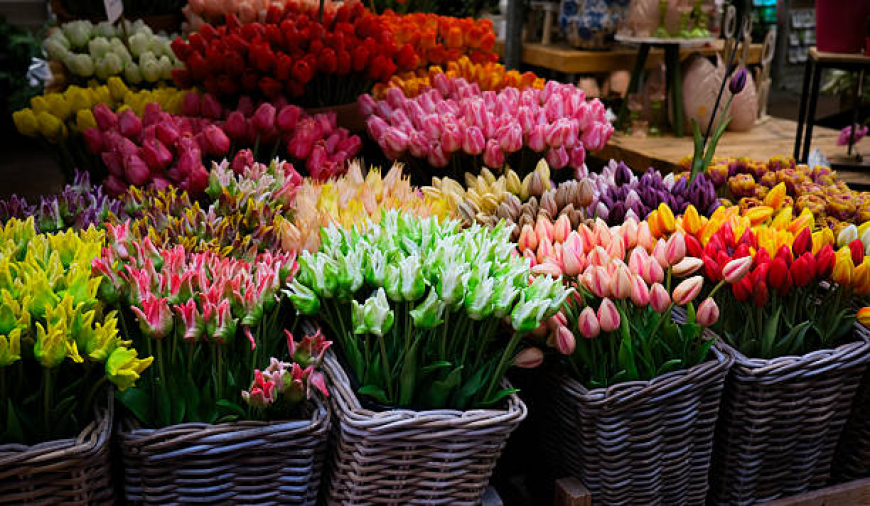 Cheap Flower Shop in Ajman – 11 Smart Ways to Save Money on Fresh Flowers