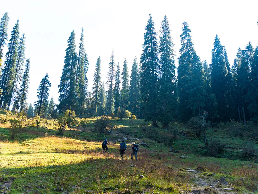 Kedarkantha Trekking: I Understood the Hype After Going There