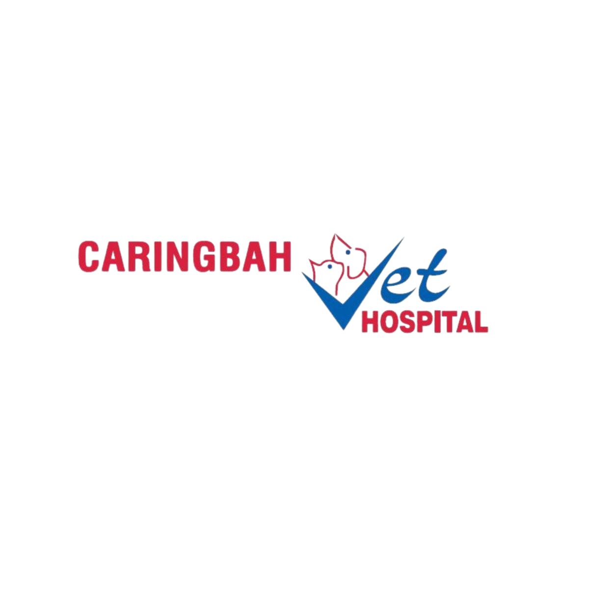 Vets Sutherland Shire: Complete Guide to Quality Veterinary Care for Your Pet