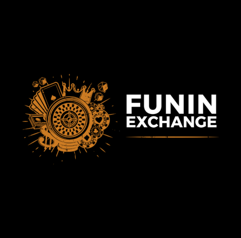 Fun Exchange Simplified: Essential Tips for First-Time Users