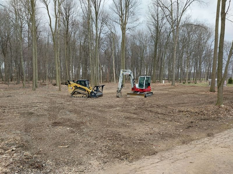 Trusted Brush Clearing Services for Large and Small Properties