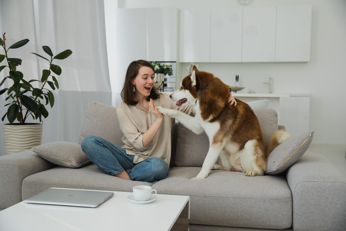 How to Choose a Dog Sitter in Denver When Your Dog Has a Very Specific Routine