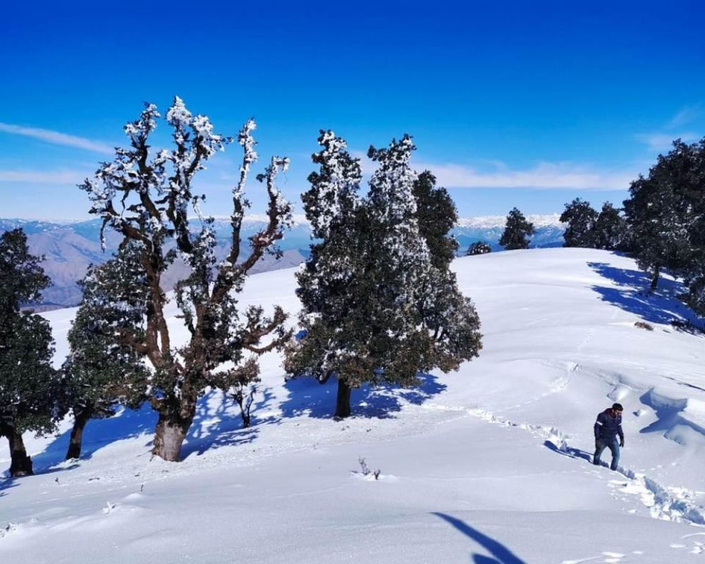 Uttarakhand in january