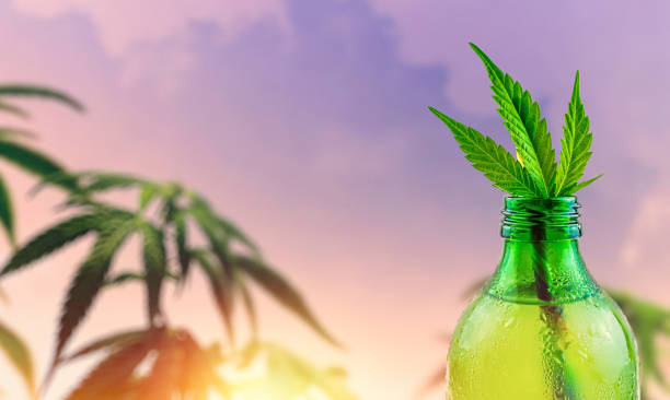 CBD Beverage vs. CBD Edible: How the Product Format Changes the Experience