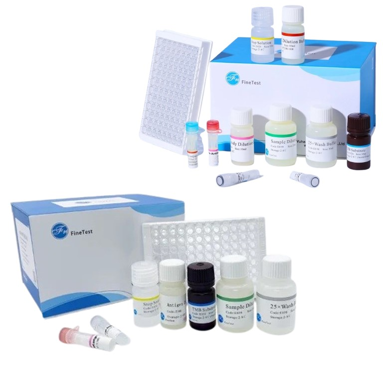 How Do ELISA Kits Improve Biological Detection and Research Accuracy?