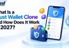 What Is a Trust Wallet Clone and How Does It Work in 2027?