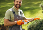 Fencing and Landscaping Services for Modern Properties