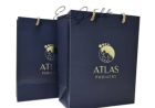 Customised Paper Bag Singapore: A Smart Way to Build Your Brand Through Packaging