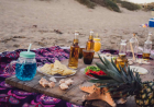 Why Tapas Bondi Beach Is Perfect for Sharing Food With Friends