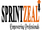 Career Path for Project Coordinator: Roles, Skills, Salary & Growth