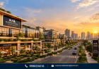 DLF Alameda Sector 73 Infrastructure Growth: Complete Investor & Business Guide