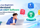 How Can Beginners Understand Flash USDT Software Across Different Blockchain Networks? 