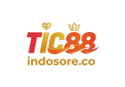 TIC88