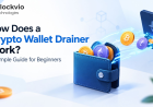 How Does a Crypto Wallet Drainer Work? A Simple Guide for Beginners 