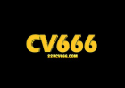 CV666