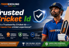 Tigerexch ID : A Practical Guide to Login, Registration and Account Security