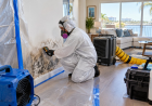 Signs Your South Florida Home May Need Mold Testing