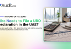 UBO Declaration UAE: Requirements, Process and Compliance Guide