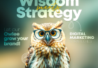 Inside the Digital Marketing Control Room: 7 Ways Solutions1313 Helps Businesses Grow in Mohali