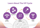 ICSI Treatment in Pakistan | A Real Path Forward for Couples Facing Infertility